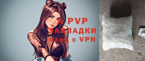 индика Вязьма