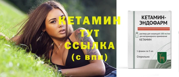 мдпв Вяземский