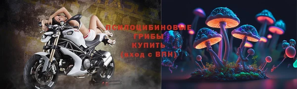 мдпв Вяземский