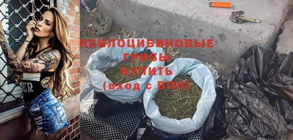 индика Вязьма