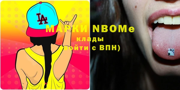 мдпв Вяземский