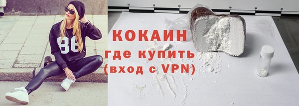индика Вязьма