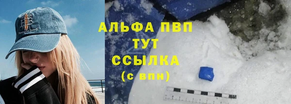 мдпв Вяземский