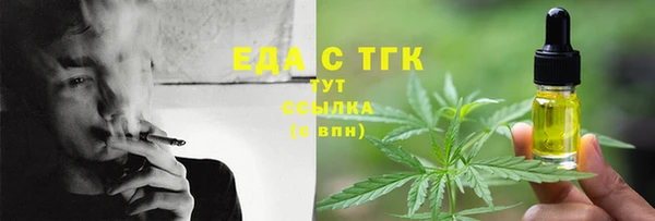 мдпв Вяземский