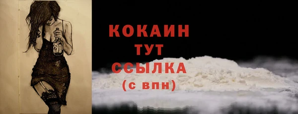 мдпв Вяземский