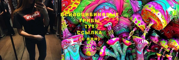 прущая мука Вязники