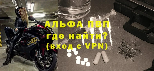 индика Вязьма
