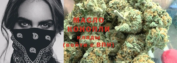 мдпв Вяземский