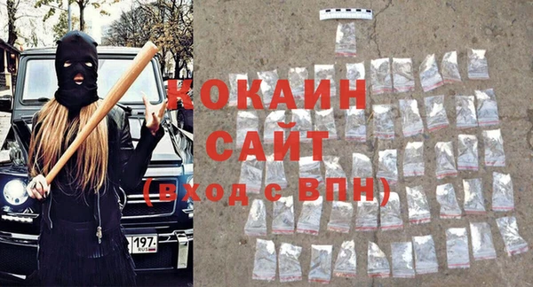 мдпв Вяземский