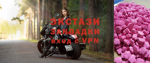 индика Вязьма