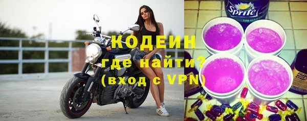 мдпв Вяземский