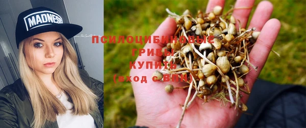 мдпв Вяземский