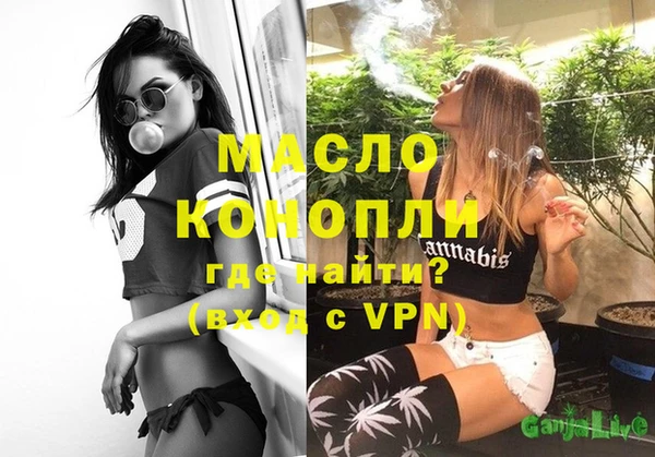 индика Вязьма