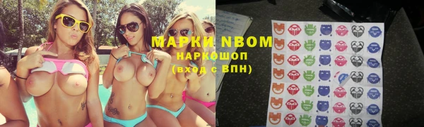мдпв Вяземский