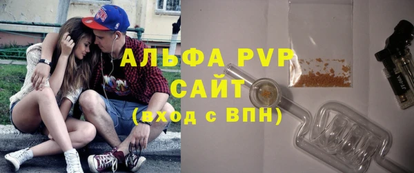 индика Вязьма