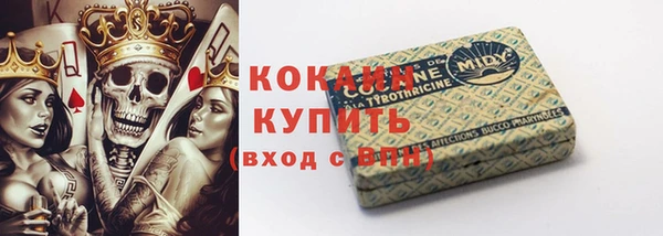мдпв Вяземский