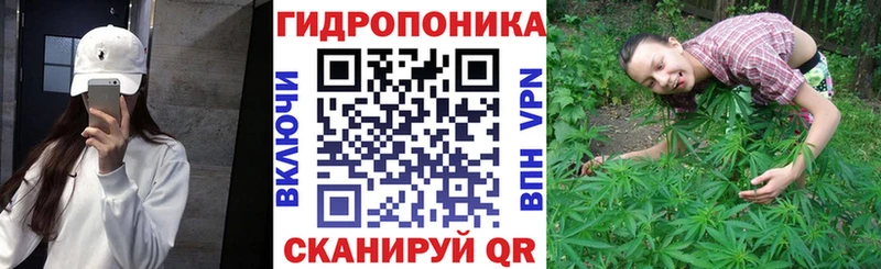 Канабис ГИДРОПОН  Таганрог 